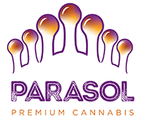 Parasol Cannabis